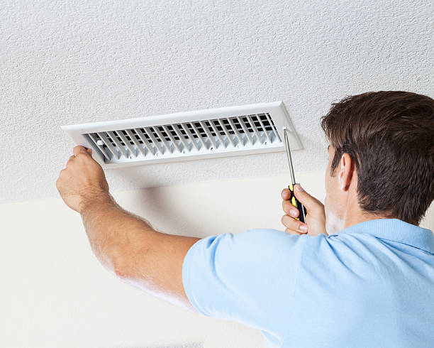 Best Post-Construction Mold Inspection  in Winchester, TN