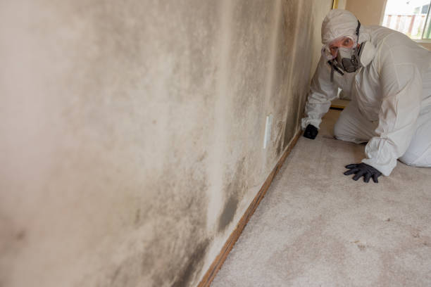 Dehumidification Services in Winchester, TN