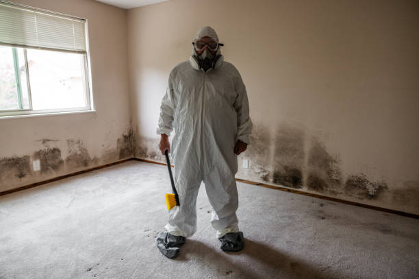 Best Industrial Mold Remediation  in Winchester, TN