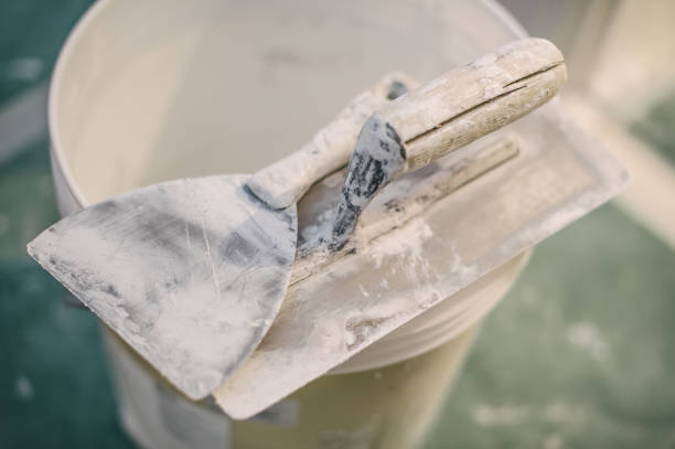 Best Attic Mold Removal  in Winchester, TN