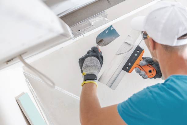 Trusted Winchester, TN Mold Removal Experts